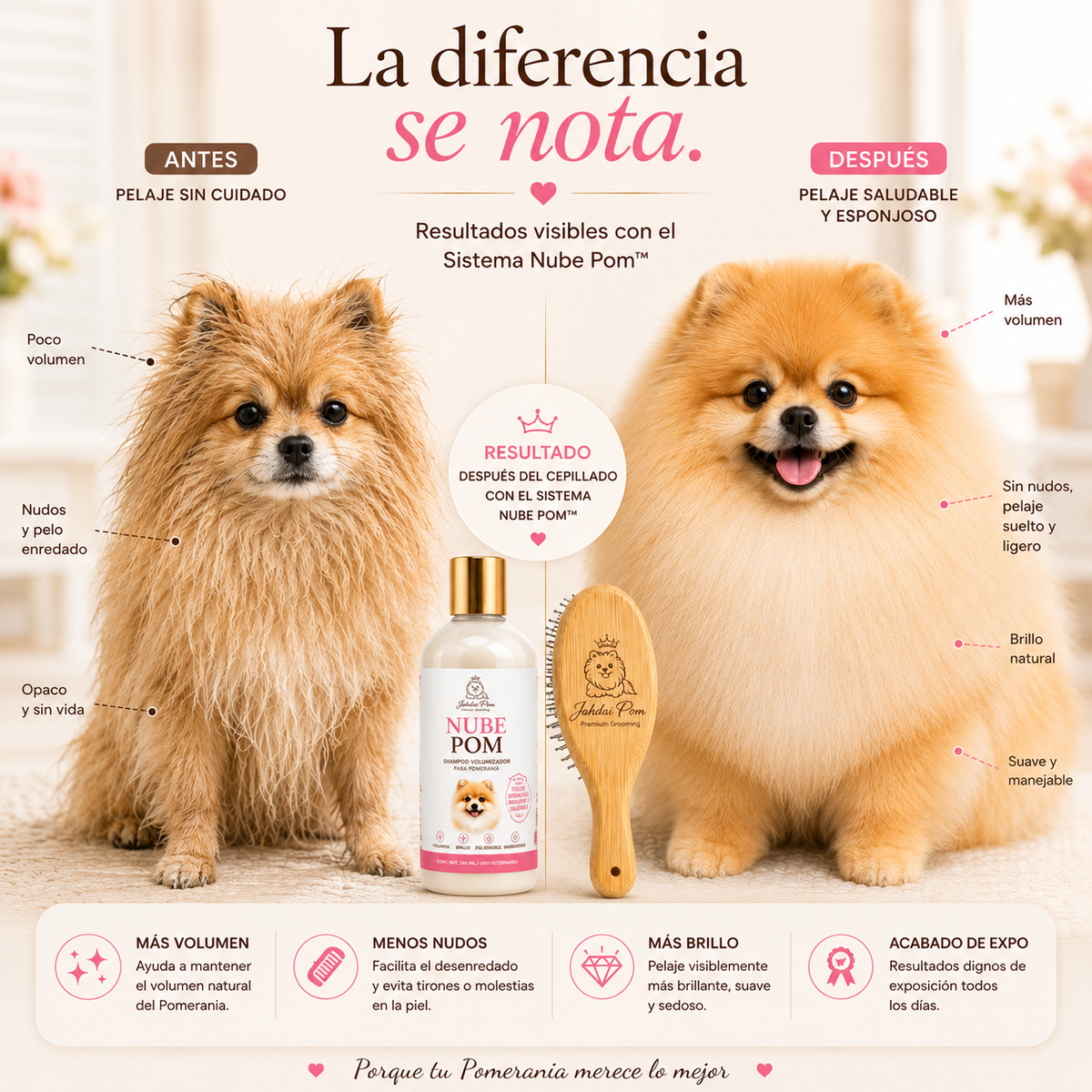 Kit Nube Pom + Cepillo Mantequilla